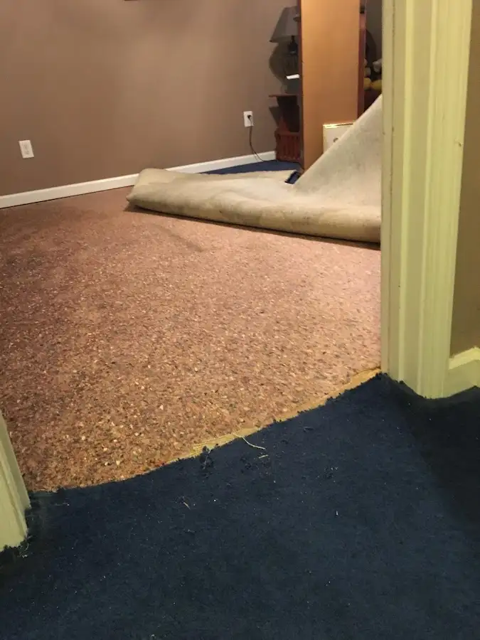 Carpet pad removal revealing water damage during Drying & Dehumidification in Olney