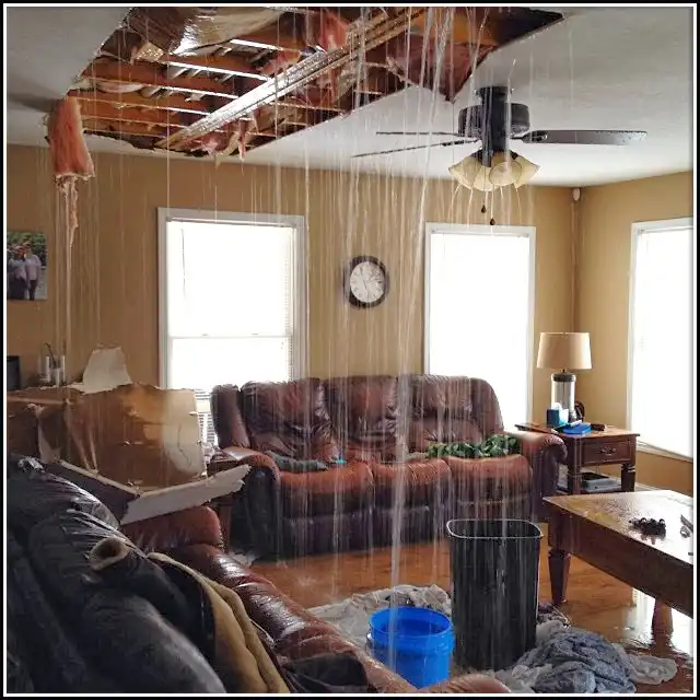 Water Damage Restoration services in Olney, MD