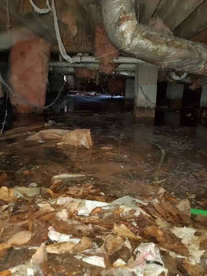 Crawl space flood assessment for Leak Detection & Repair in Olney